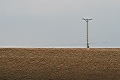 photo No. 27
